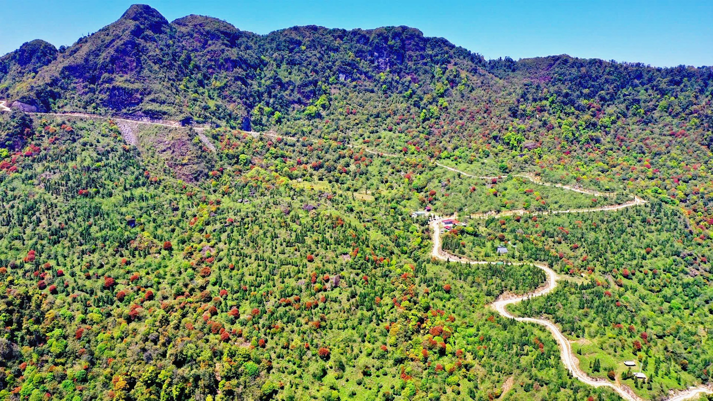 Chi&ecirc;m ngưỡng biển m&acirc;y ở 'ch&iacute;n tầng thang'- Ảnh 2.