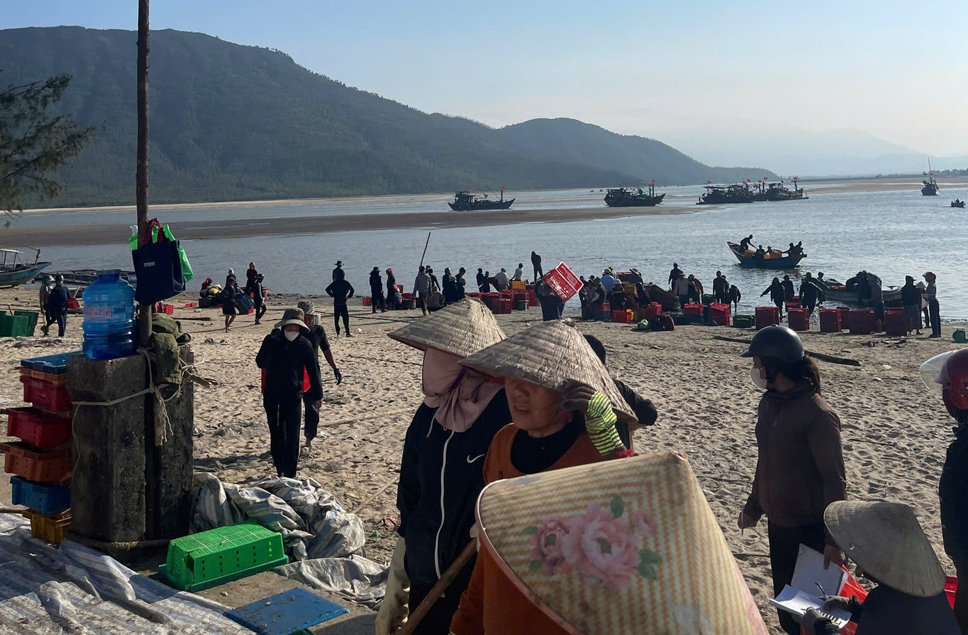 Ngư dân Hà Tĩnh trúng đậm ‘lộc biển’, thu tiền triệu mỗi ngày- Ảnh 6.