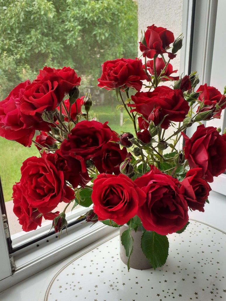 Mồng 1 th&aacute;ng Chạp: 5 loại hoa d&acirc;ng b&agrave;n thờ đ&uacute;ng lễ nghi, chuẩn phong thuỷ, bề tr&ecirc;n ưng &yacute;- Ảnh 5.