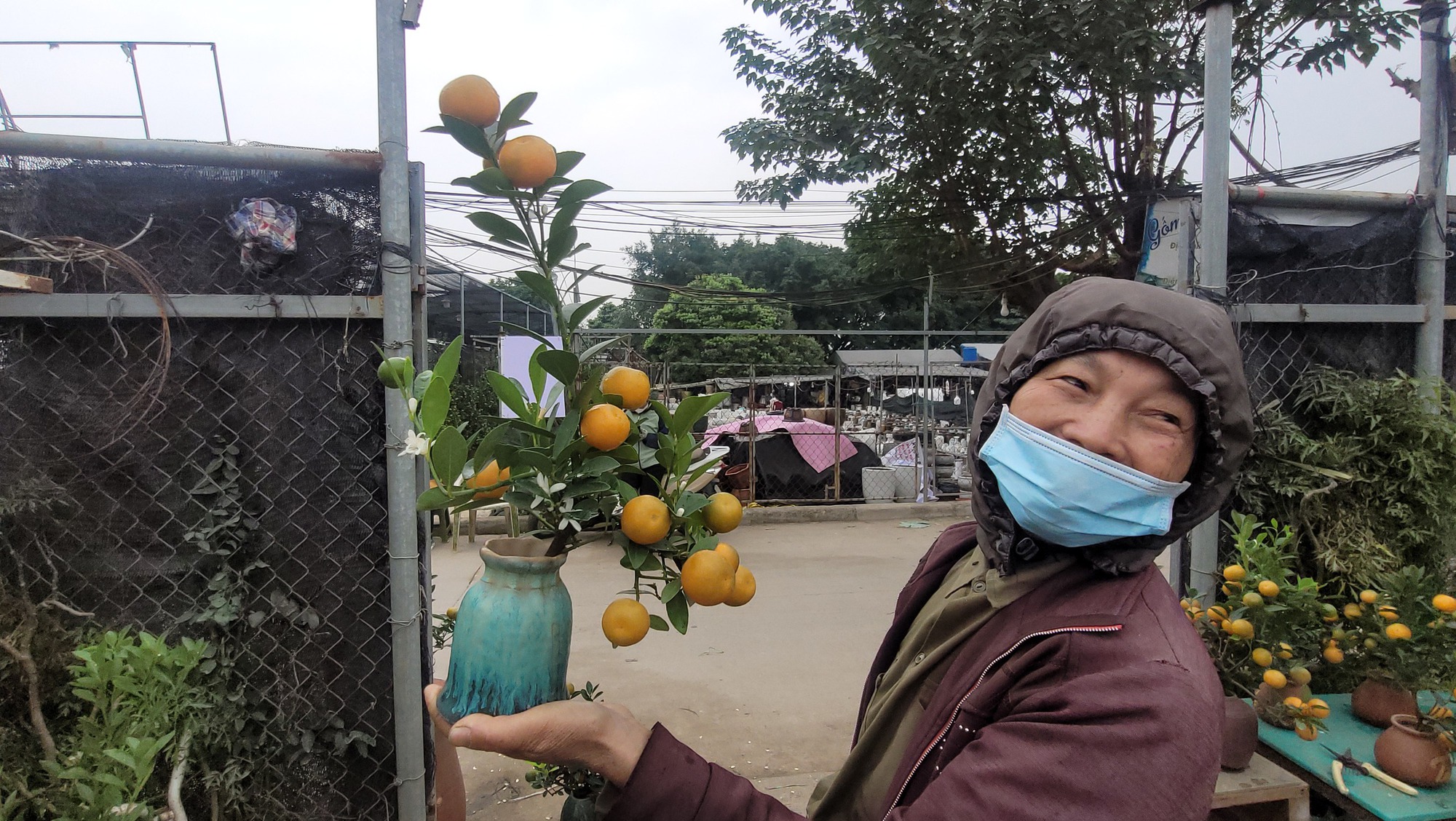 Quất bonsai mini gi&aacute; v&agrave;i trăm ng&agrave;n đồng mỗi b&igrave;nh- Ảnh 1.