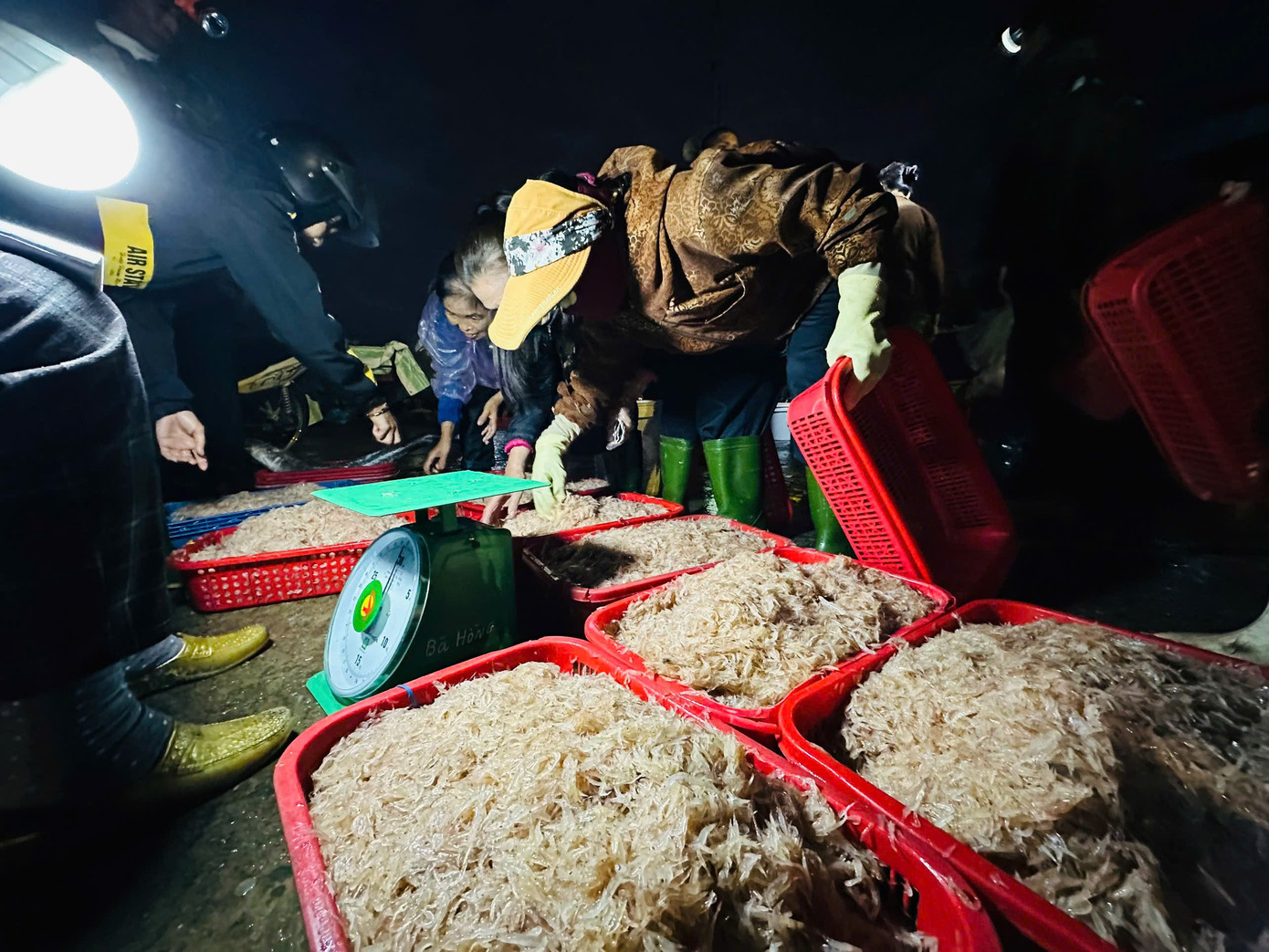 Ngư dân Hà Tĩnh trúng đậm ‘lộc biển’, thu tiền triệu mỗi ngày- Ảnh 11.