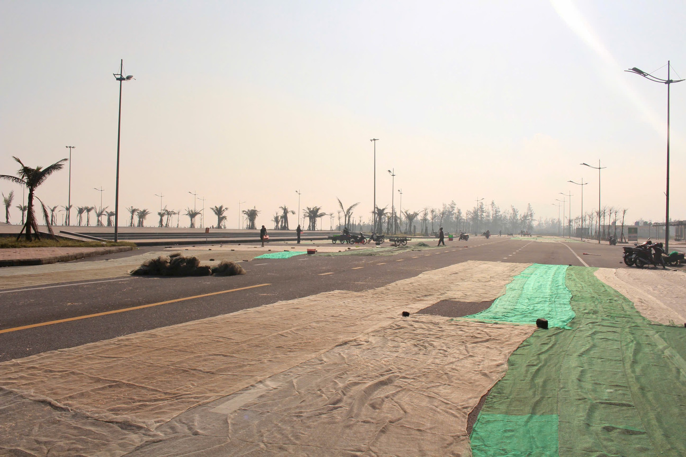 Ngư dân Hà Tĩnh trúng đậm ‘lộc biển’, thu tiền triệu mỗi ngày- Ảnh 4.