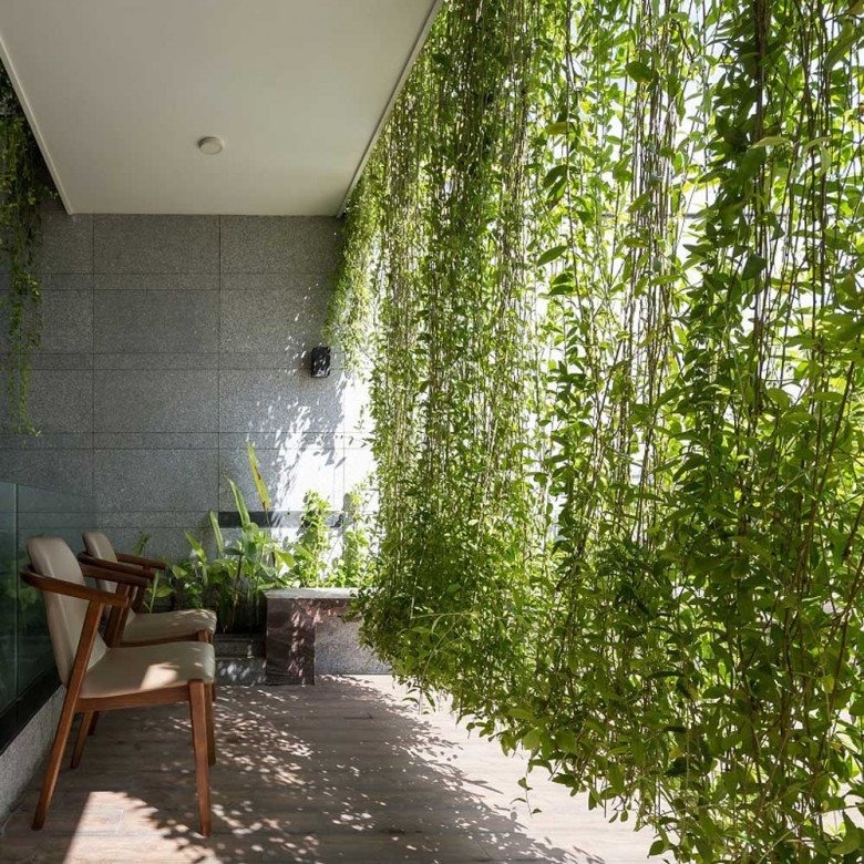 6 c&acirc;y dụ rắn v&agrave;o nh&agrave;- Ảnh 3.