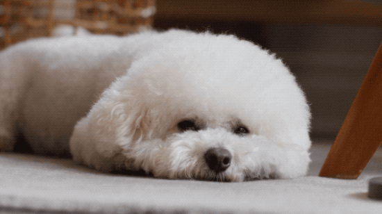 Bỏ 75 triệu/th&aacute;ng thu&ecirc; nh&agrave;, kh&ocirc;ng kết h&ocirc;n: Người phụ nữ 37 tuổi chọn 