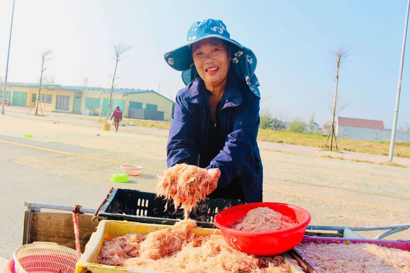 Ngư dân Hà Tĩnh trúng đậm ‘lộc biển’, thu tiền triệu mỗi ngày- Ảnh 2.