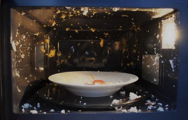 Đến ạ người n&agrave;o cho 5 thứ n&agrave;y v&agrave;o l&ograve; vi s&oacute;ng, kh&aacute;c n&agrave;o "đ&agrave;o hố ch&ocirc;n m&igrave;nh" - Ảnh 1.