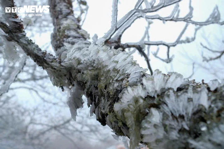 Tiết Đại hàn 2026 bắt đầu từ ngày nào?- Ảnh 1.