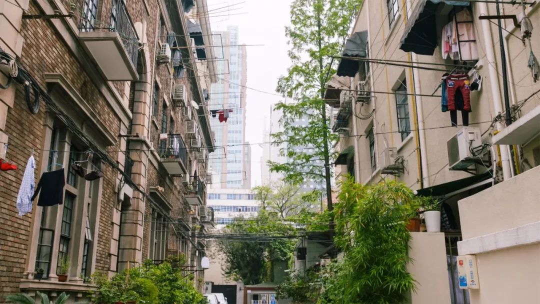 Bỏ 75 triệu/th&aacute;ng thu&ecirc; nh&agrave;, kh&ocirc;ng kết h&ocirc;n: Người phụ nữ 37 tuổi chọn 