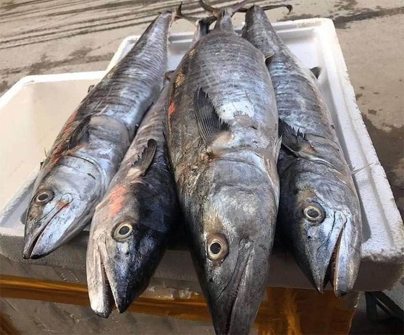 4 loại c&aacute; chứa nhiều thủy ng&acirc;n- Ảnh 2.