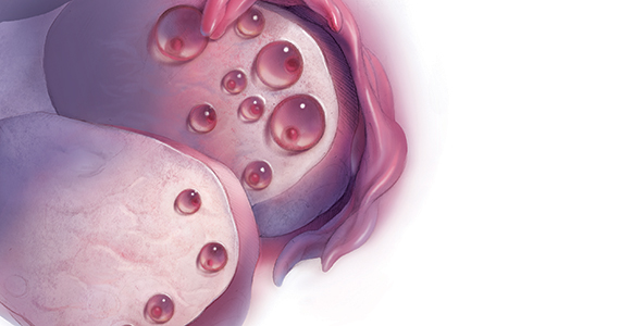 Buồng trứng - &ldquo;ch&igrave;a kh&oacute;a b&iacute; mật&rdquo; quyết định tuổi thọ v&agrave; cuộc sống của phụ nữ: Tại sao buồng trứng l&atilde;o h&oacute;a nhanh hơn c&aacute;c bộ phận kh&aacute;c?- Ảnh 3.