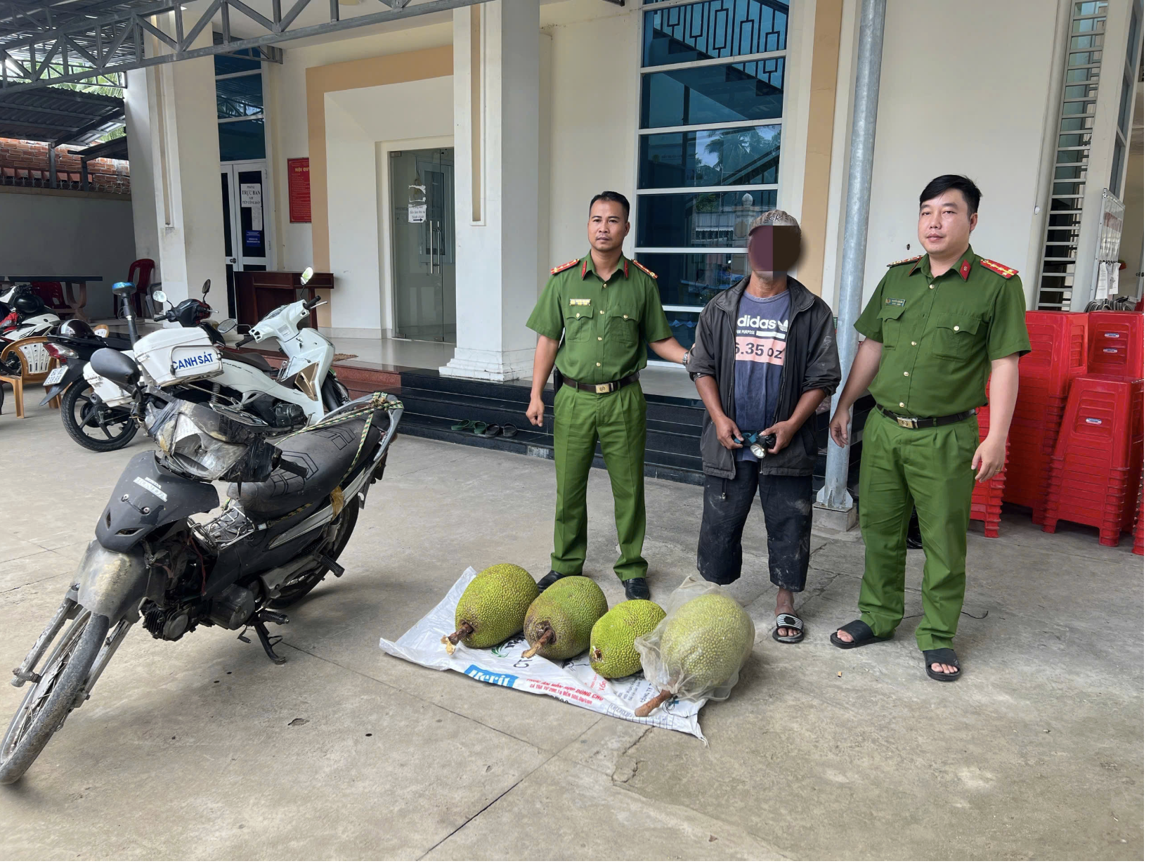 Tuần tra l&uacute;c rạng s&aacute;ng, c&ocirc;ng an bắt giữ 3 đối tượng trộm 6 tr&aacute;i m&iacute;t Th&aacute;i- Ảnh 1.