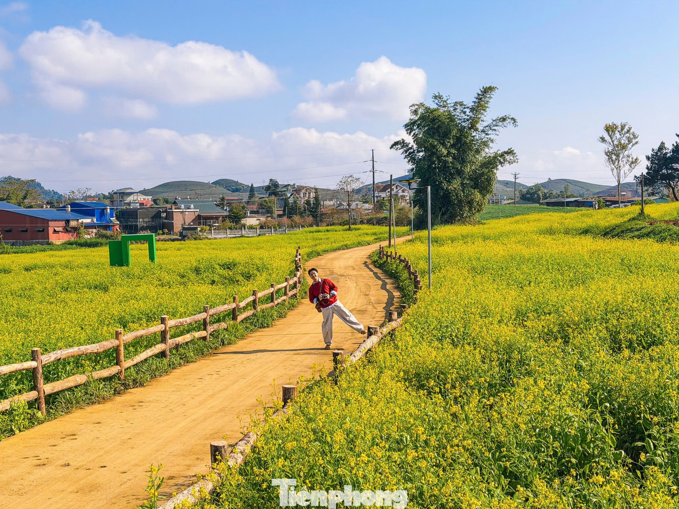 Lạc bước giữa bạt ng&agrave;n hoa cải Mộc Ch&acirc;u- Ảnh 5.