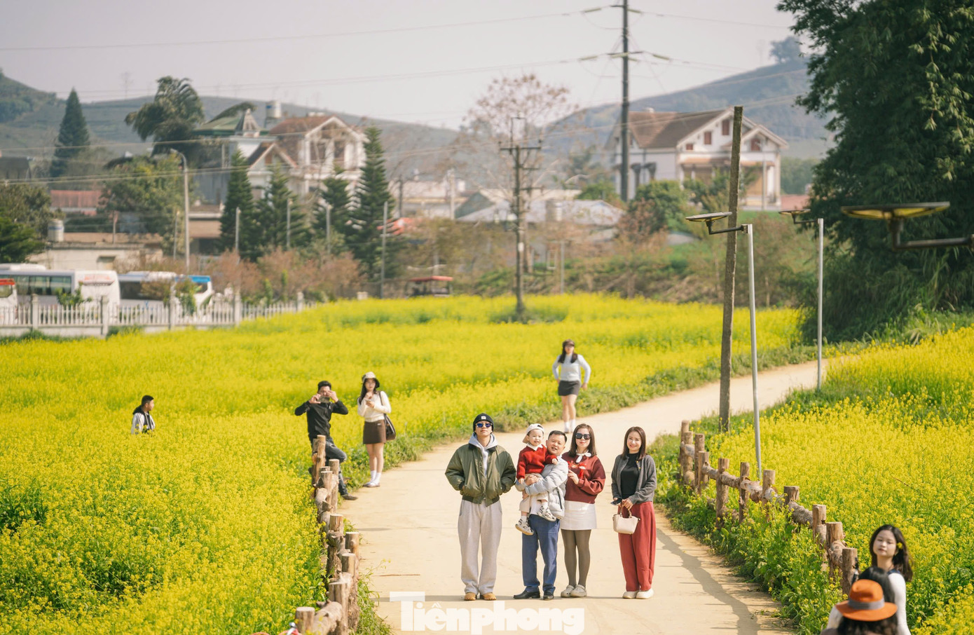 Lạc bước giữa bạt ng&agrave;n hoa cải Mộc Ch&acirc;u- Ảnh 4.