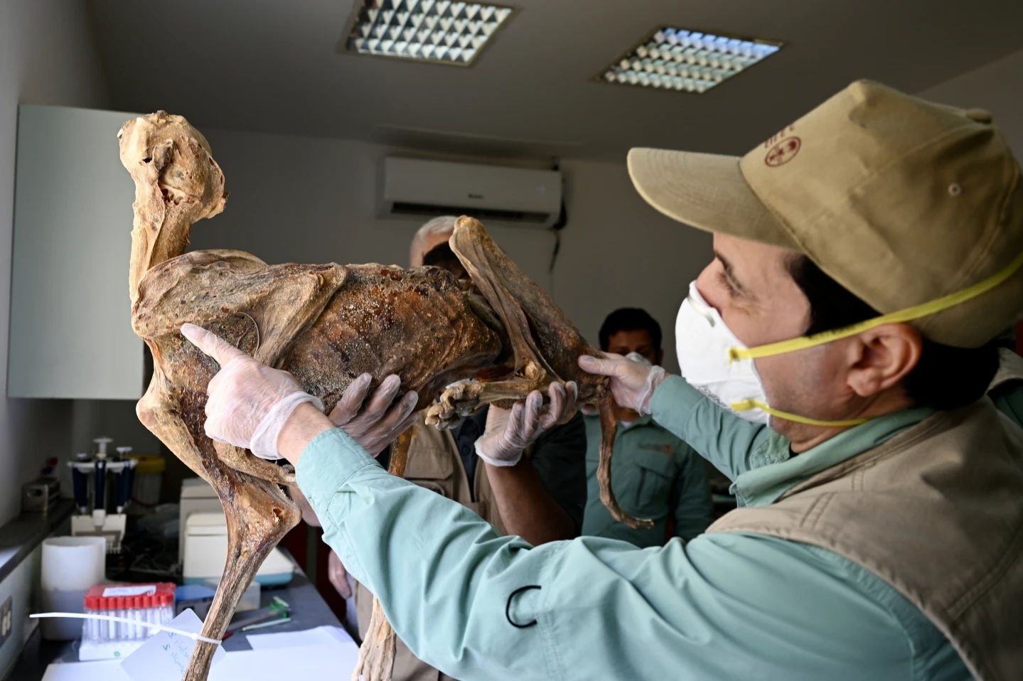 Ph&aacute;t hiện 7 &ldquo;x&aacute;c ướp&rdquo; nhưng kh&ocirc;ng phải con người trong hang động Ả Rập Saudi- Ảnh 2.