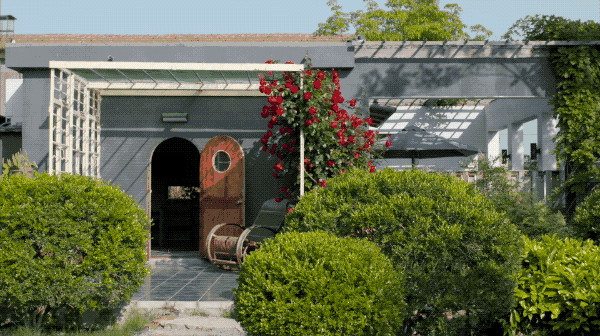 Rời trung t&acirc;m th&agrave;nh phố, sống nh&agrave; vườn ở ngoại &ocirc;: C&acirc;u chuyện của 3 gia đ&igrave;nh v&agrave; b&agrave;i to&aacute;n tiết kiệm tiền khiến nhiều người giật m&igrave;nh- Ảnh 3.