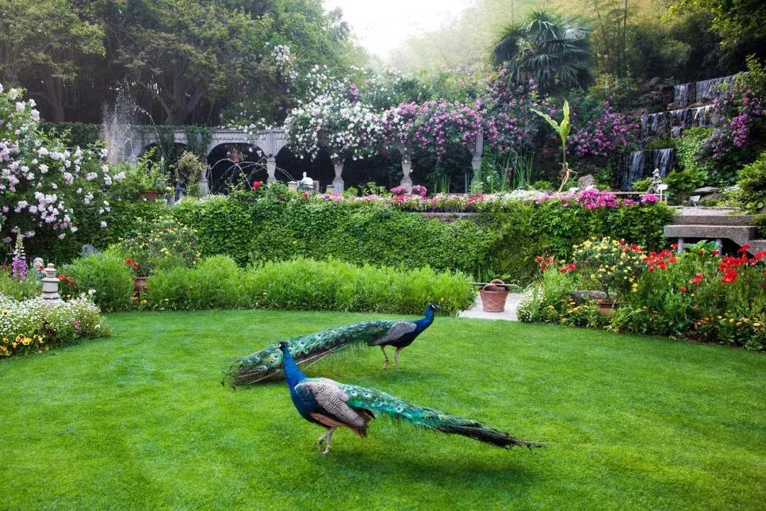 Rời trung t&acirc;m th&agrave;nh phố, sống nh&agrave; vườn ở ngoại &ocirc;: C&acirc;u chuyện của 3 gia đ&igrave;nh v&agrave; b&agrave;i to&aacute;n tiết kiệm tiền khiến nhiều người giật m&igrave;nh- Ảnh 10.