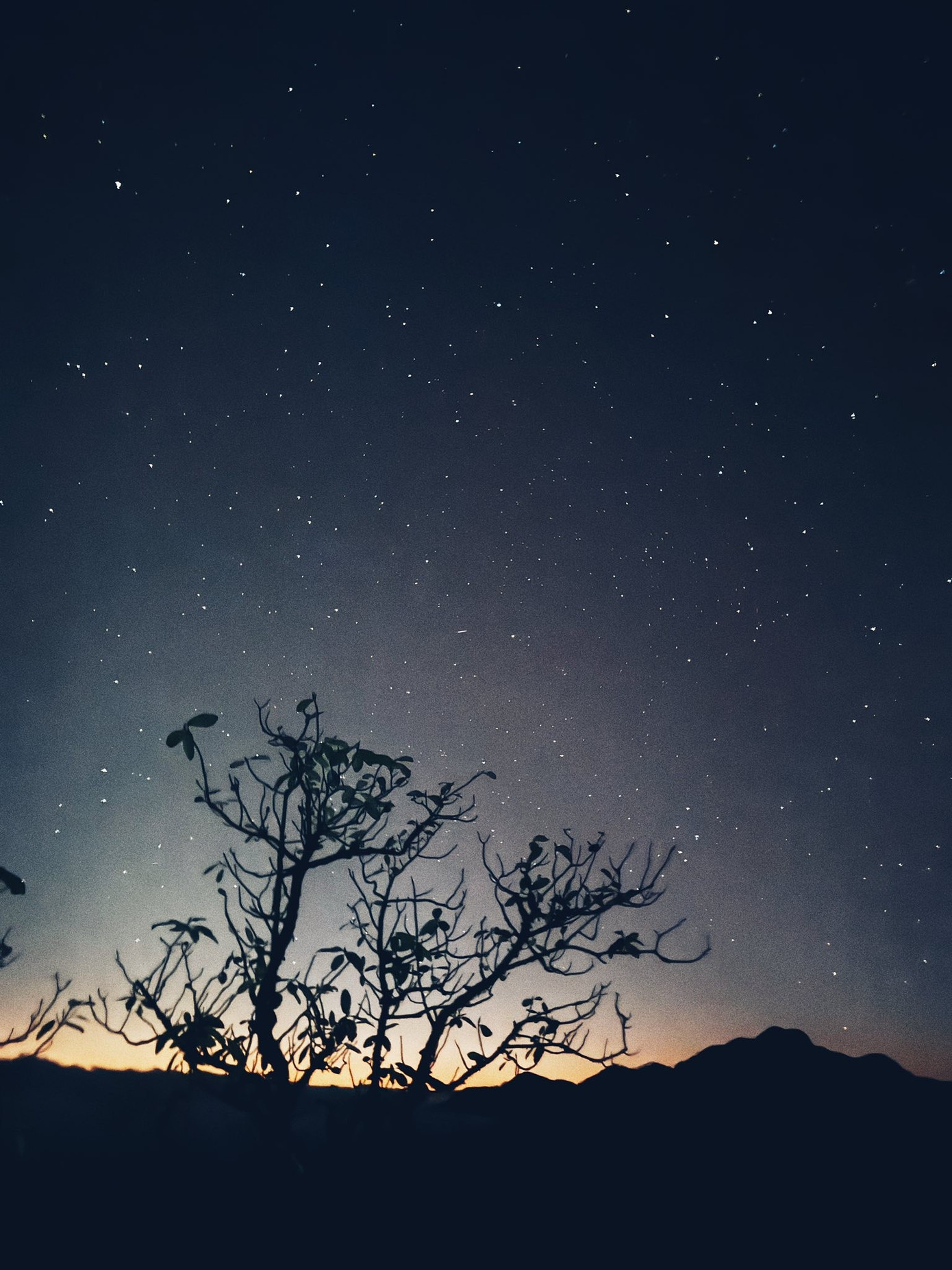 Săn m&acirc;y tr&ecirc;n đỉnh Ngũ Chỉ Sơn- Ảnh 11.