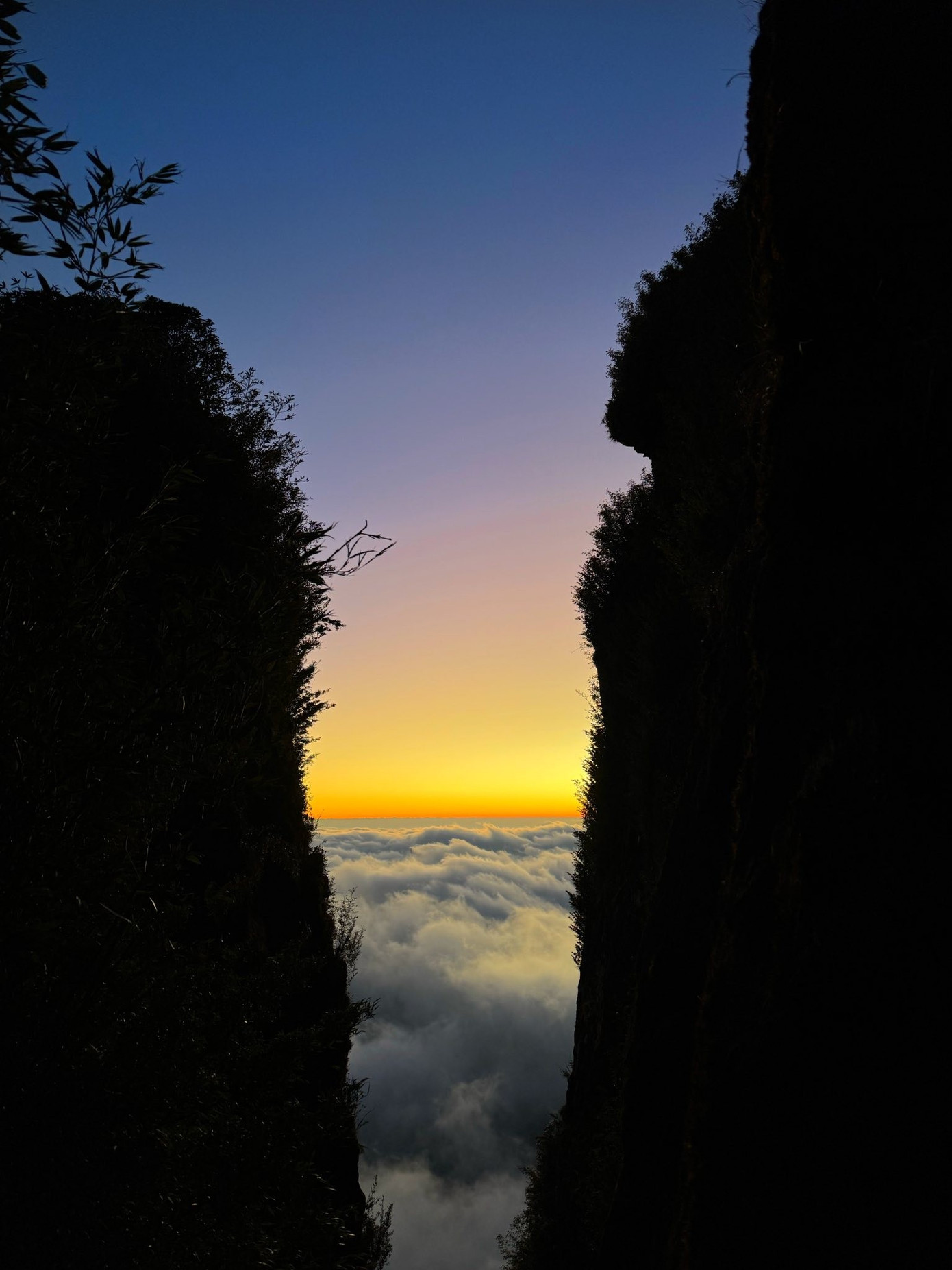 Săn m&acirc;y tr&ecirc;n đỉnh Ngũ Chỉ Sơn- Ảnh 12.