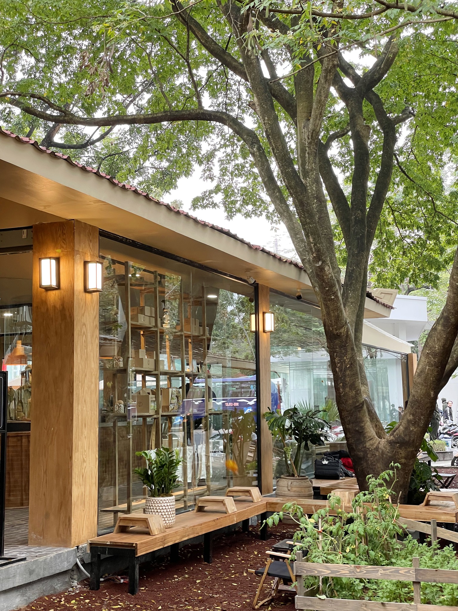 3 qu&aacute;n c&agrave; ph&ecirc; nằm gọn trong khu&ocirc;n vi&ecirc;n Bảo t&agrave;ng Hồ Ch&iacute; Minh, giới trẻ Thủ đ&ocirc; thi nhau truyền tai- Ảnh 6.