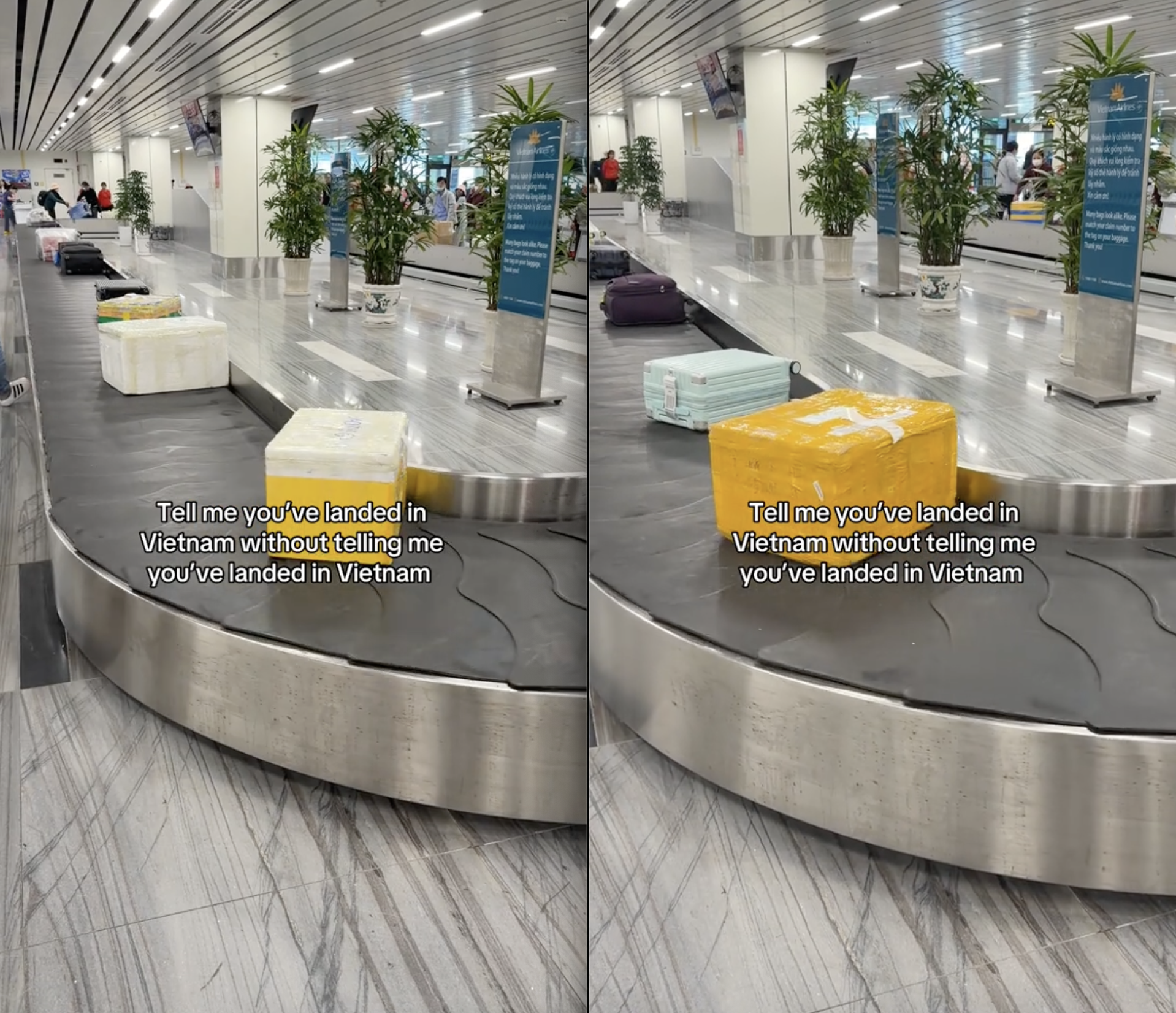 Kh&aacute;ch T&acirc;y d&aacute;n mắt v&agrave;o 1 thứ tr&ecirc;n băng chuyền s&acirc;n bay: 