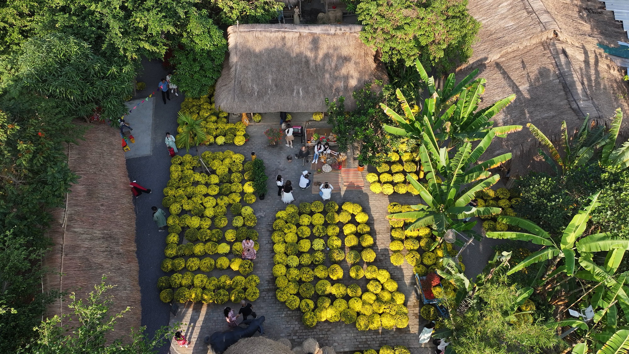 Kỳ t&iacute;ch hồi sinh một l&agrave;ng nghề 30.000 m&eacute;t vu&ocirc;ng ở Nha Trang sau lũ lịch sử v&agrave; m&agrave;n 