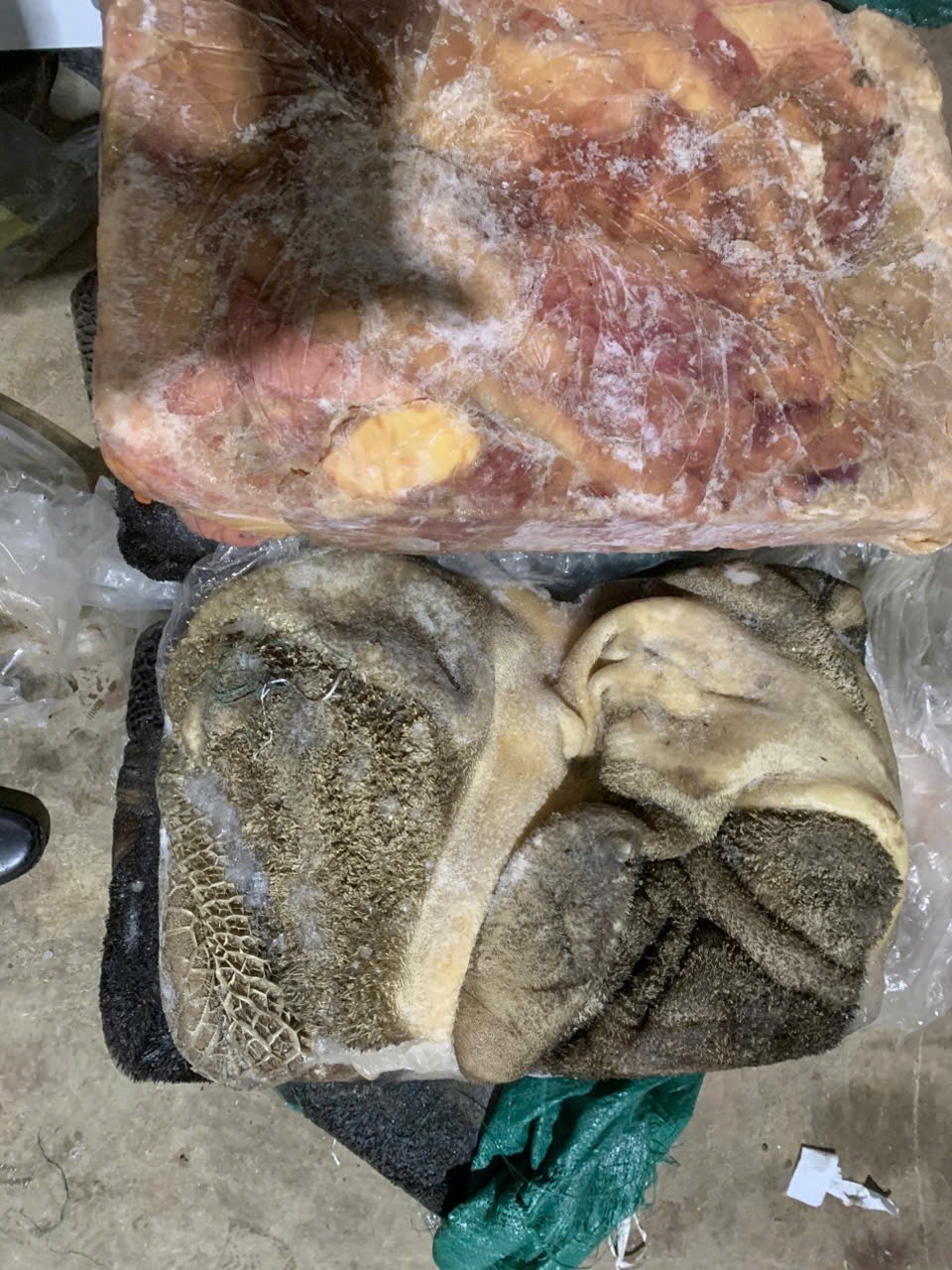 R&uacute;ng động thị trường thực phẩm cận Tết: Hơn 18 tấn thịt b&ograve;, l&ograve;ng b&ograve; đ&ocirc;ng lạnh đựng trong bao tải su&yacute;t &ldquo;l&ecirc;n m&acirc;m&rdquo;- Ảnh 3.