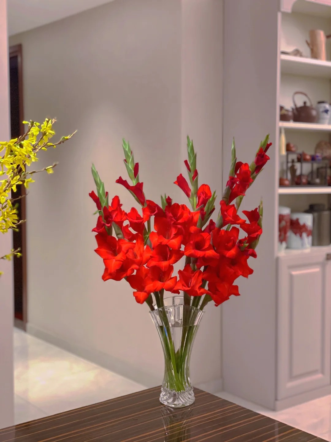 Tết n&agrave;y đừng chỉ chơi đ&agrave;o mai, muốn nh&agrave; vừa sang vừa "h&uacute;t lộc" th&igrave; đ&acirc;y l&agrave; lo&agrave;i hoa bạn nhất định phải chưng!- Ảnh 6.