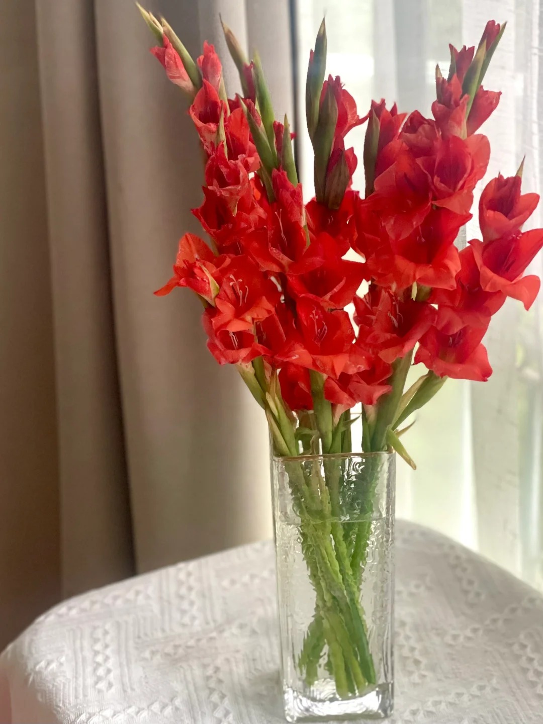 Tết n&agrave;y đừng chỉ chơi đ&agrave;o mai, muốn nh&agrave; vừa sang vừa "h&uacute;t lộc" th&igrave; đ&acirc;y l&agrave; lo&agrave;i hoa bạn nhất định phải chưng!- Ảnh 12.