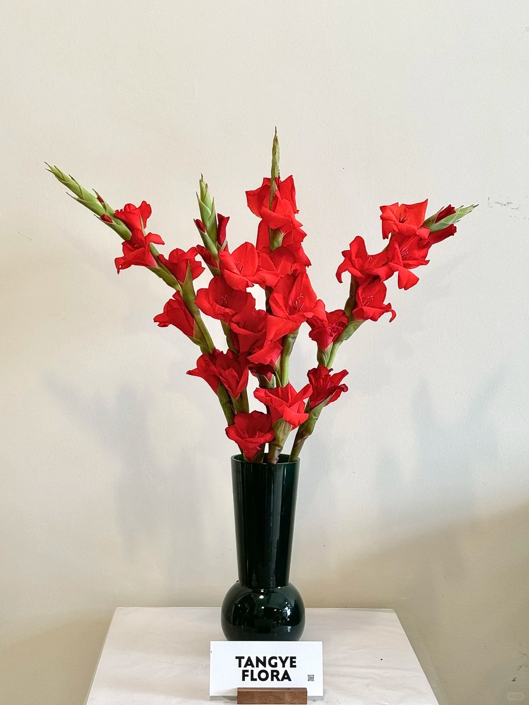 Tết n&agrave;y đừng chỉ chơi đ&agrave;o mai, muốn nh&agrave; vừa sang vừa "h&uacute;t lộc" th&igrave; đ&acirc;y l&agrave; lo&agrave;i hoa bạn nhất định phải chưng!- Ảnh 9.