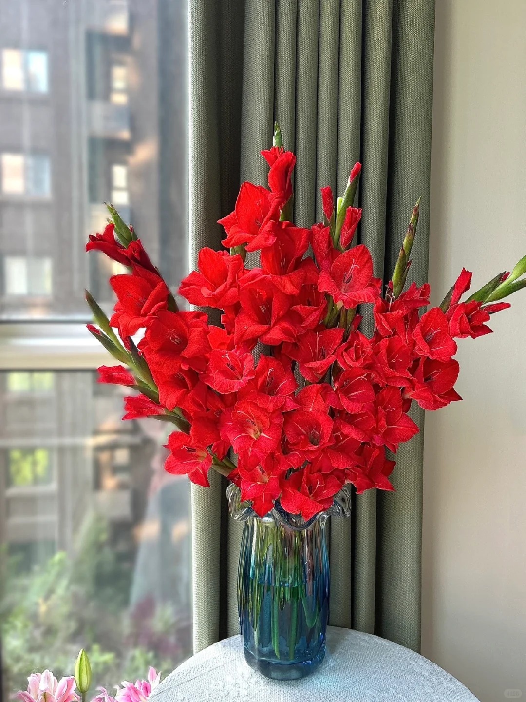 Tết n&agrave;y đừng chỉ chơi đ&agrave;o mai, muốn nh&agrave; vừa sang vừa "h&uacute;t lộc" th&igrave; đ&acirc;y l&agrave; lo&agrave;i hoa bạn nhất định phải chưng!- Ảnh 10.