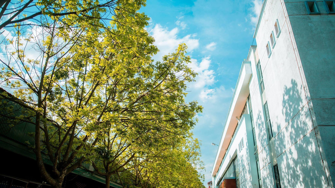 Ở Việt Nam, c&oacute; một ng&ocirc;i trường duy nhất sở hữu hồ nước mang t&ecirc;n Tuyệt Vọng- Ảnh 5.