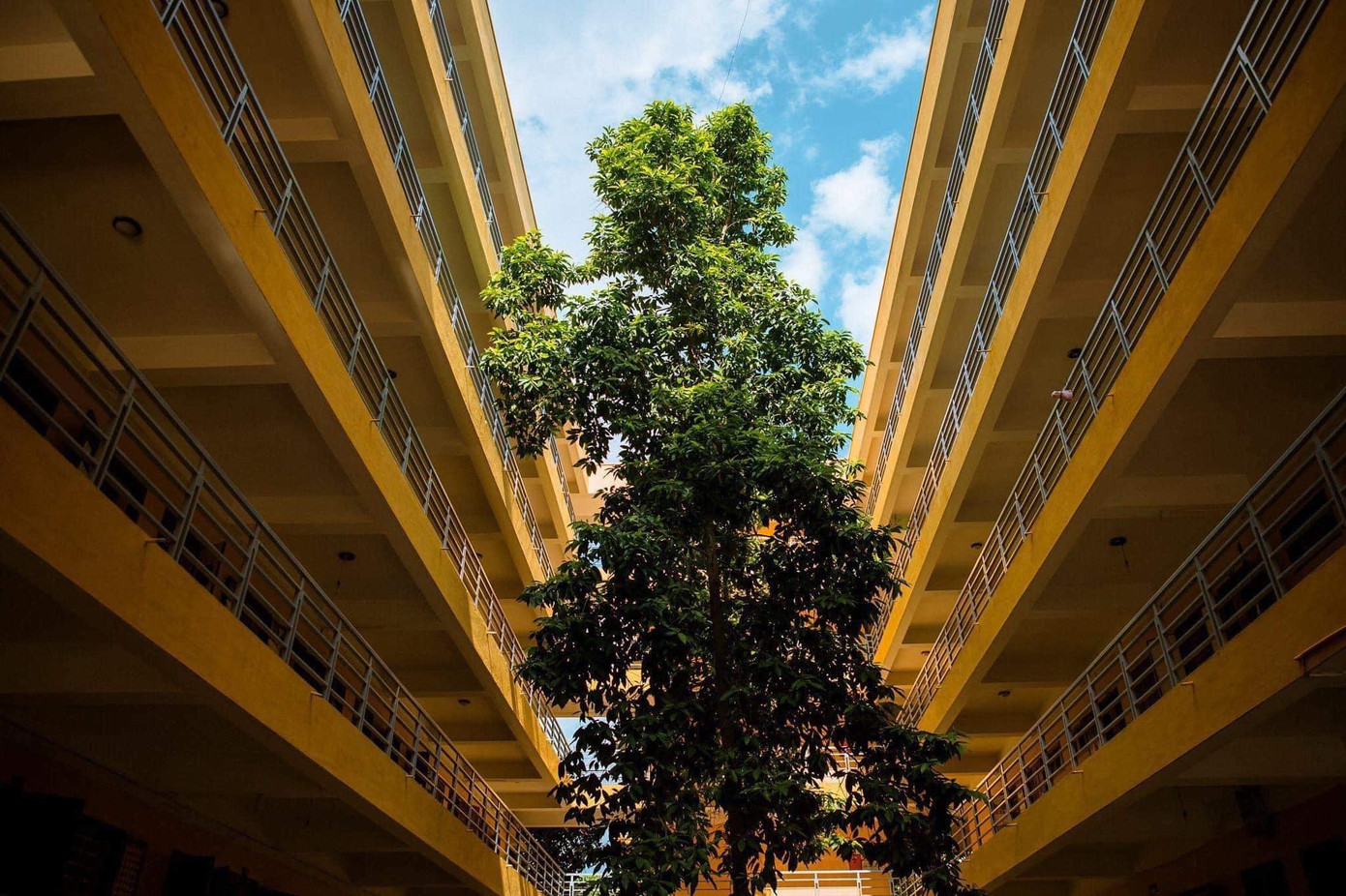 Ở Việt Nam, c&oacute; một ng&ocirc;i trường duy nhất sở hữu hồ nước mang t&ecirc;n Tuyệt Vọng- Ảnh 6.