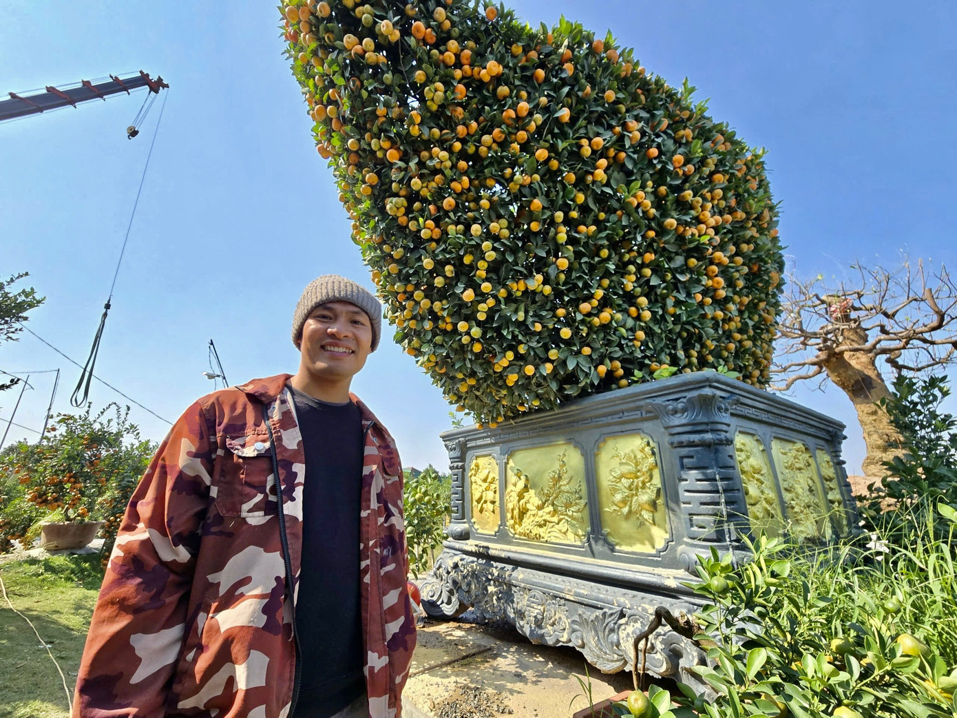 Cho&aacute;ng ngợp loạt &lsquo;si&ecirc;u phẩm&rsquo; c&acirc;y cảnh chơi Tết ở Hưng Y&ecirc;n gi&aacute; h&agrave;ng trăm triệu đồng- Ảnh 3.