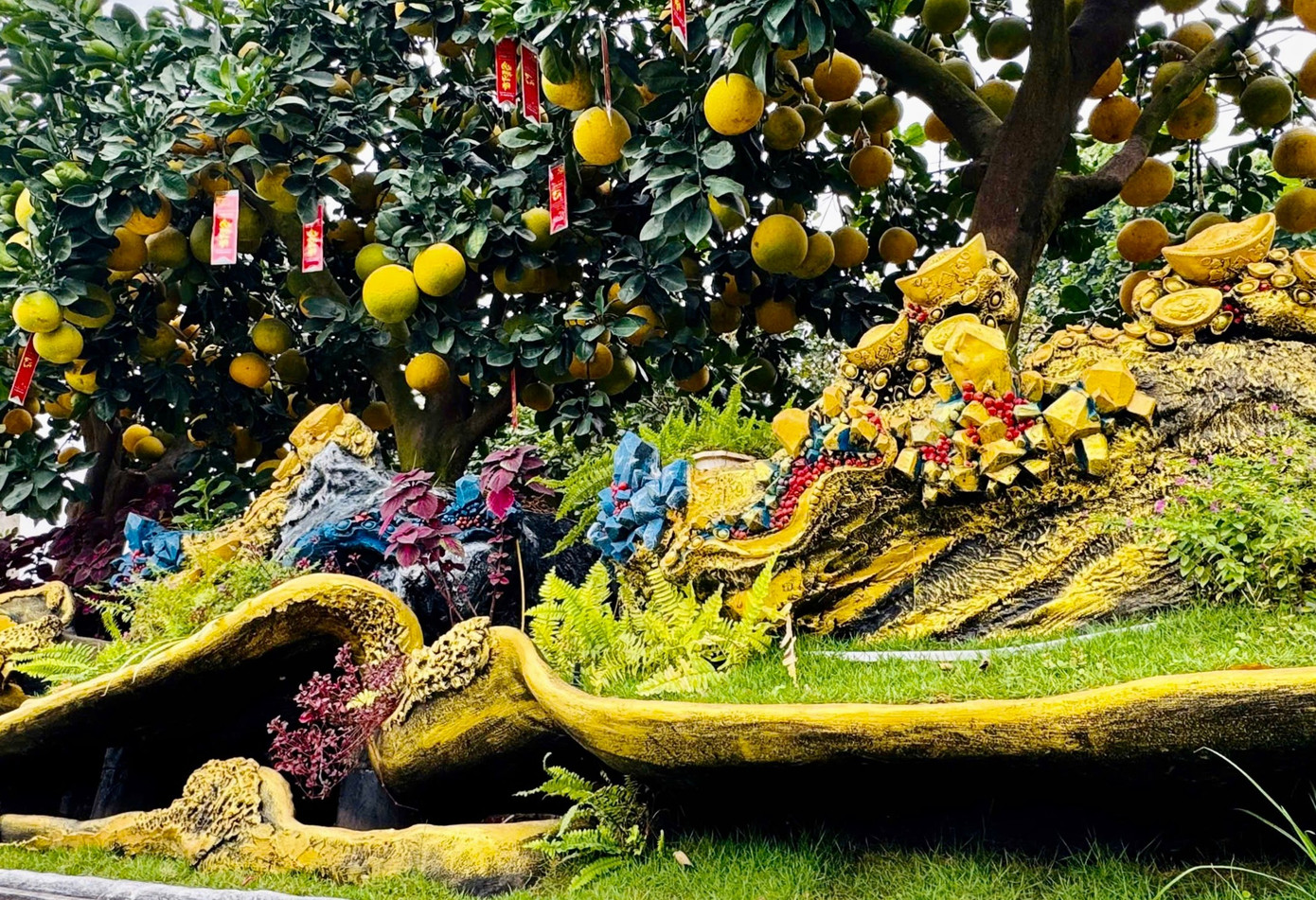 Cho&aacute;ng ngợp loạt &lsquo;si&ecirc;u phẩm&rsquo; c&acirc;y cảnh chơi Tết ở Hưng Y&ecirc;n gi&aacute; h&agrave;ng trăm triệu đồng- Ảnh 4.