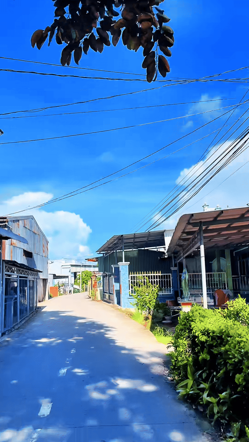 Đặc trưng nh&agrave; miền T&acirc;y, cả nước nể phục- Ảnh 1.