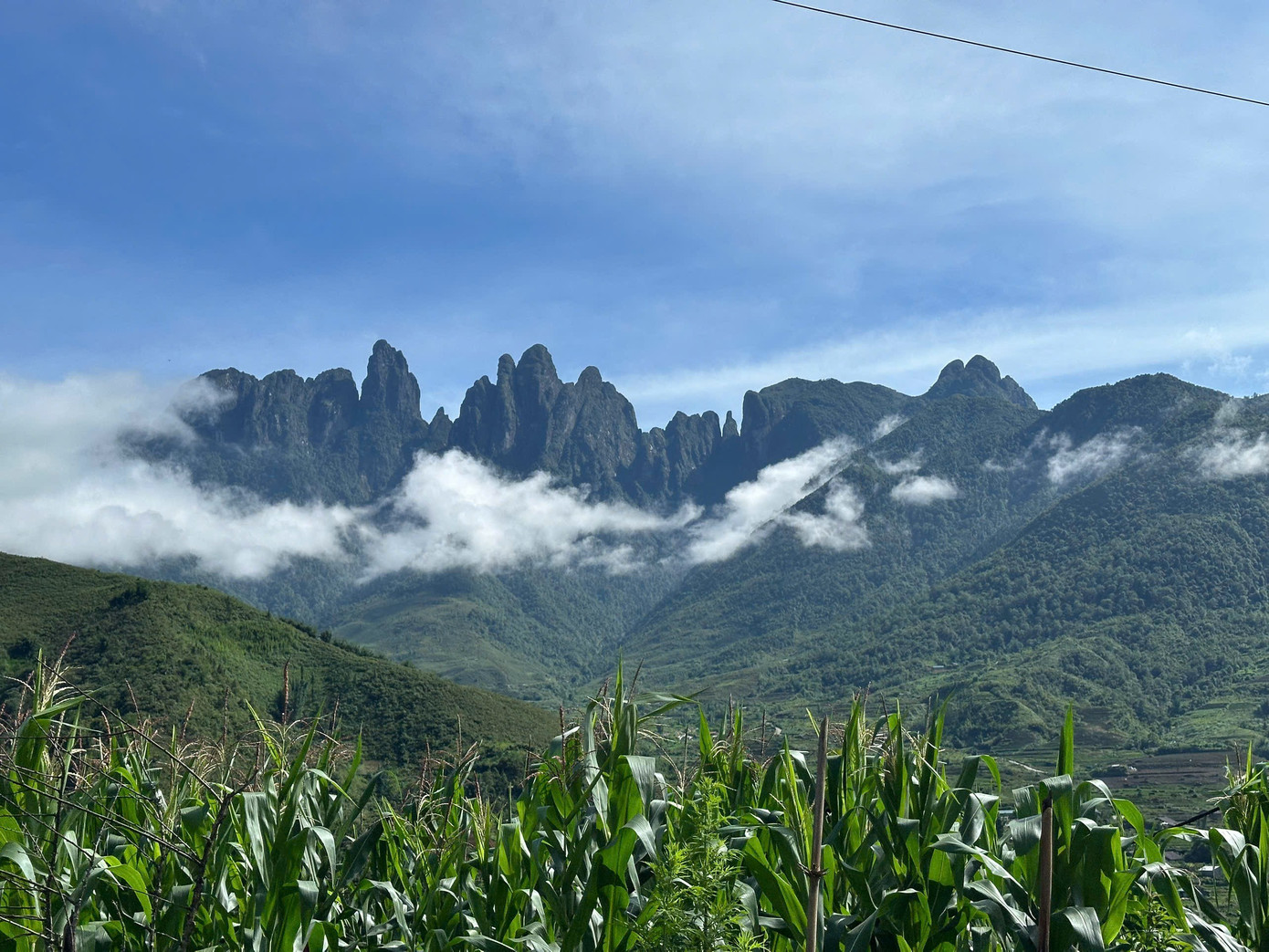 Săn m&acirc;y tr&ecirc;n đỉnh Ngũ Chỉ Sơn- Ảnh 1.