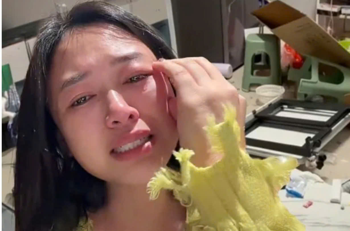 Vợ mua m&aacute;y rửa b&aacute;t hơn 5.000.000 đồng kh&ocirc;ng xin ph&eacute;p, chồng nổi cơn thịnh nộ đập ph&aacute; nh&agrave; cửa tan hoang- Ảnh 2.