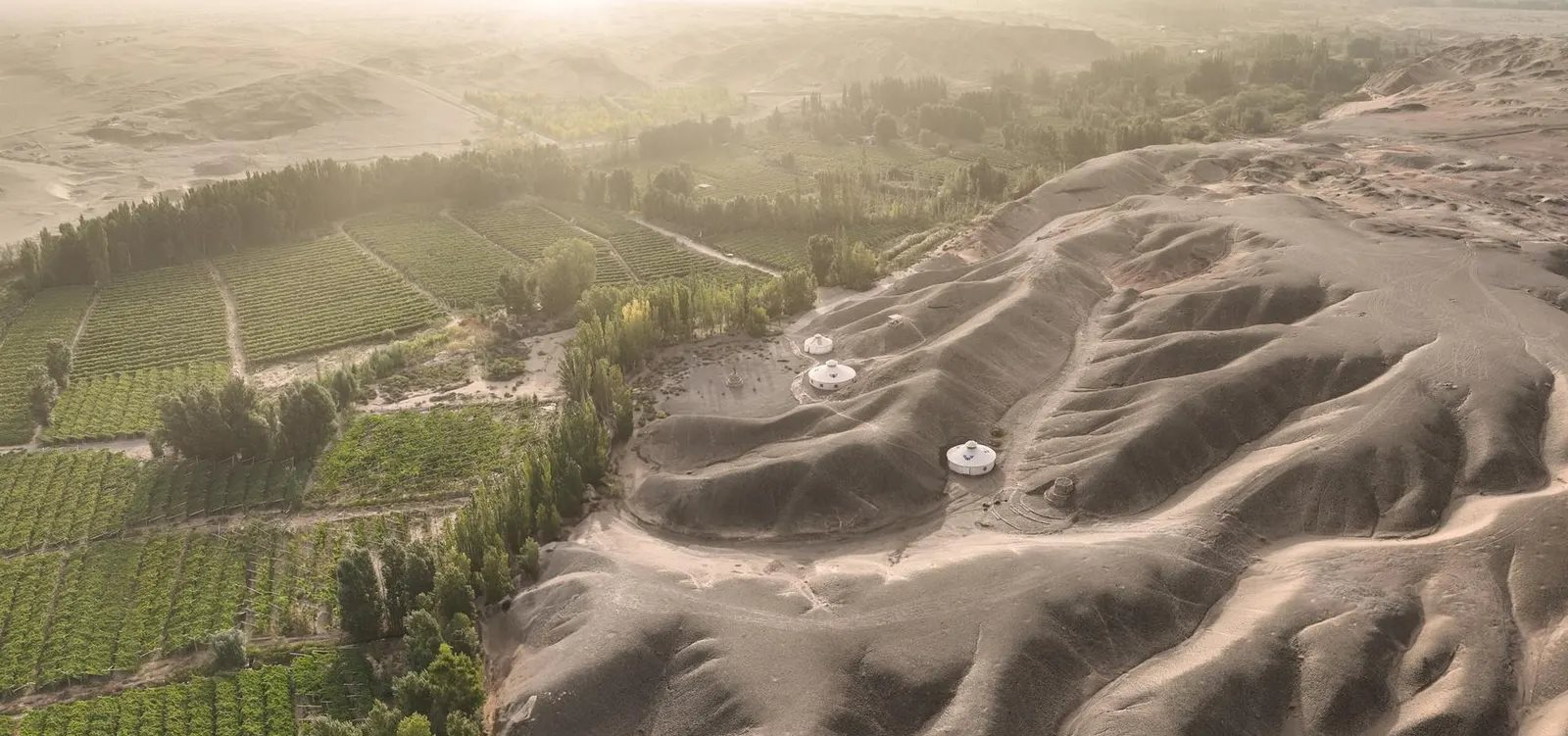 Trung Quốc x&acirc;y "Vạn L&yacute; Trường Th&agrave;nh" thời hiện đại: D&ugrave;ng sinh vật tồn tại 3,5 tỷ năm trước h&uacute;t cạn cả sa mạc- Ảnh 3.