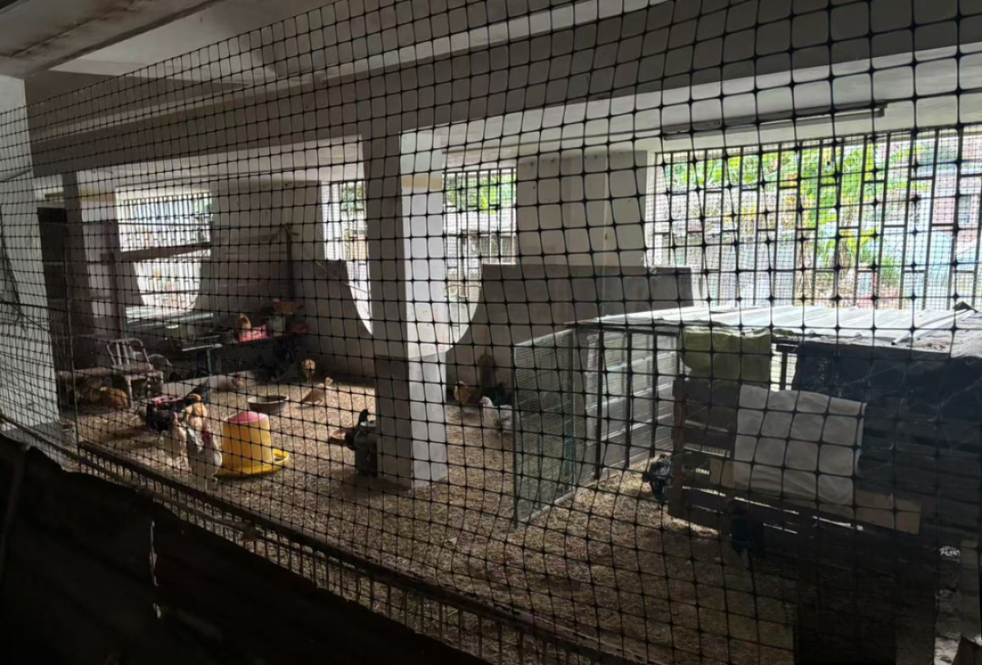 Ph&aacute;t hiện biệt thự 19 tỷ đồng kho&aacute; k&iacute;n c&oacute; m&ugrave;i h&ocirc;i bất thường, người đ&agrave;n &ocirc;ng "chết lặng" khi bước xuống hầm, vội b&aacute;o c&ocirc;ng an- Ảnh 3.