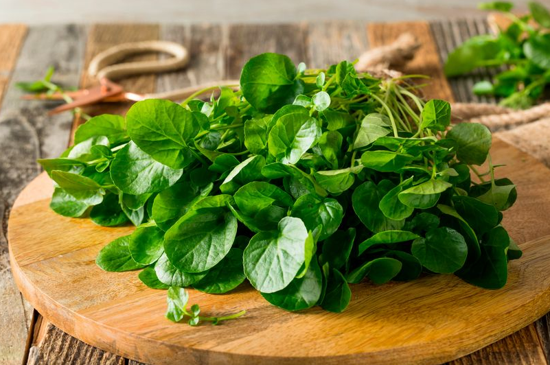 C&oacute; 1 loại rau vừa &ldquo;so&aacute;n ng&ocirc;i&rdquo; rau bina để trở th&agrave;nh &ldquo;&ocirc;ng ho&agrave;ng rau xanh&rdquo;, vừa giảm c&acirc;n lại gi&uacute;p trẻ l&acirc;u, ra chợ n&agrave;o hỏi cũng c&oacute;- Ảnh 2.