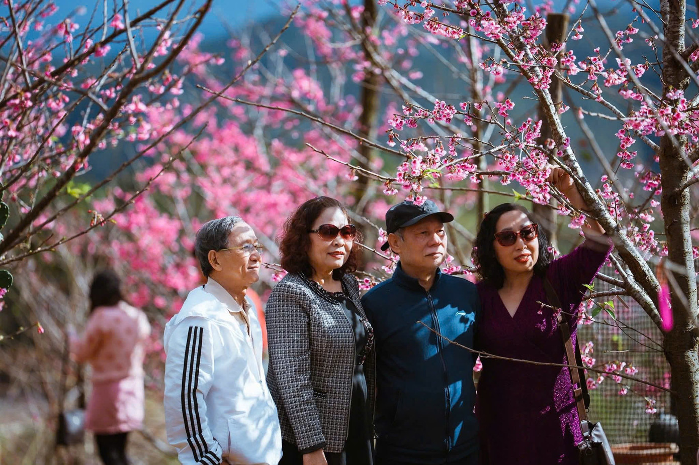 Du kh&aacute;ch nườm nượp đổ về Măng Đen ngắm hoa anh đ&agrave;o nở rộ- Ảnh 14.