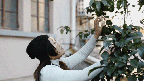 Thu&ecirc; nh&agrave; nhỏ vẫn sống như biệt thự: Mẹ đơn th&acirc;n biến ban c&ocirc;ng - s&acirc;n hẹp th&agrave;nh khu vườn xanh mướt- Ảnh 23.