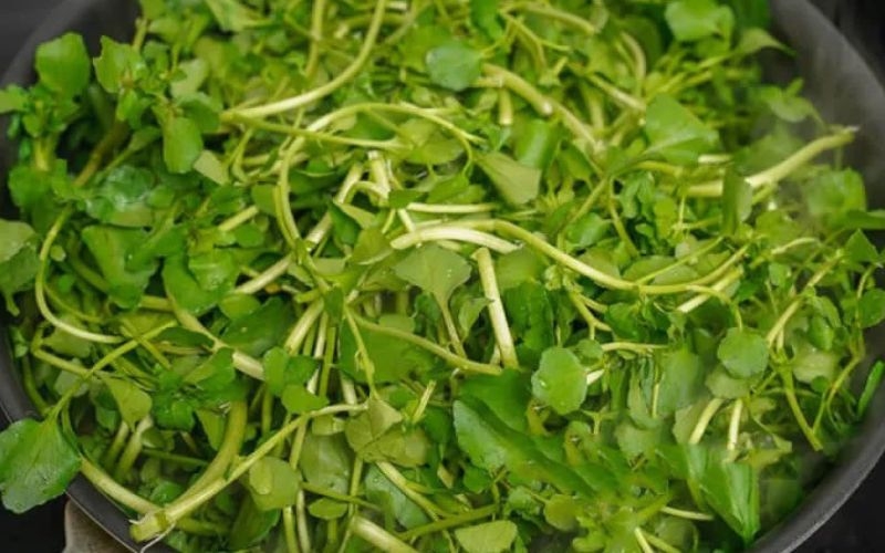 C&oacute; 1 loại rau vừa &ldquo;so&aacute;n ng&ocirc;i&rdquo; rau bina để trở th&agrave;nh &ldquo;&ocirc;ng ho&agrave;ng rau xanh&rdquo;, vừa giảm c&acirc;n lại gi&uacute;p trẻ l&acirc;u, ra chợ n&agrave;o hỏi cũng c&oacute;- Ảnh 4.