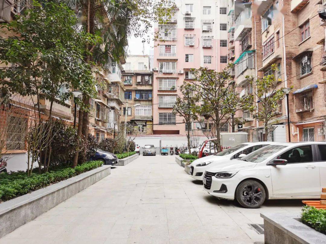 Tôi bán căn hộ 5 tỷ để về ở nhà cũ 1,8 tỷ: Hóa ra đẳng cấp không nằm ở độ cao như tôi tưởng- Ảnh 3. Tôi bán căn hộ 5 tỷ để về ở nhà cũ 1,8 tỷ: Hóa ra đẳng cấp không nằm ở độ cao như tôi tưởng- Ảnh 3.