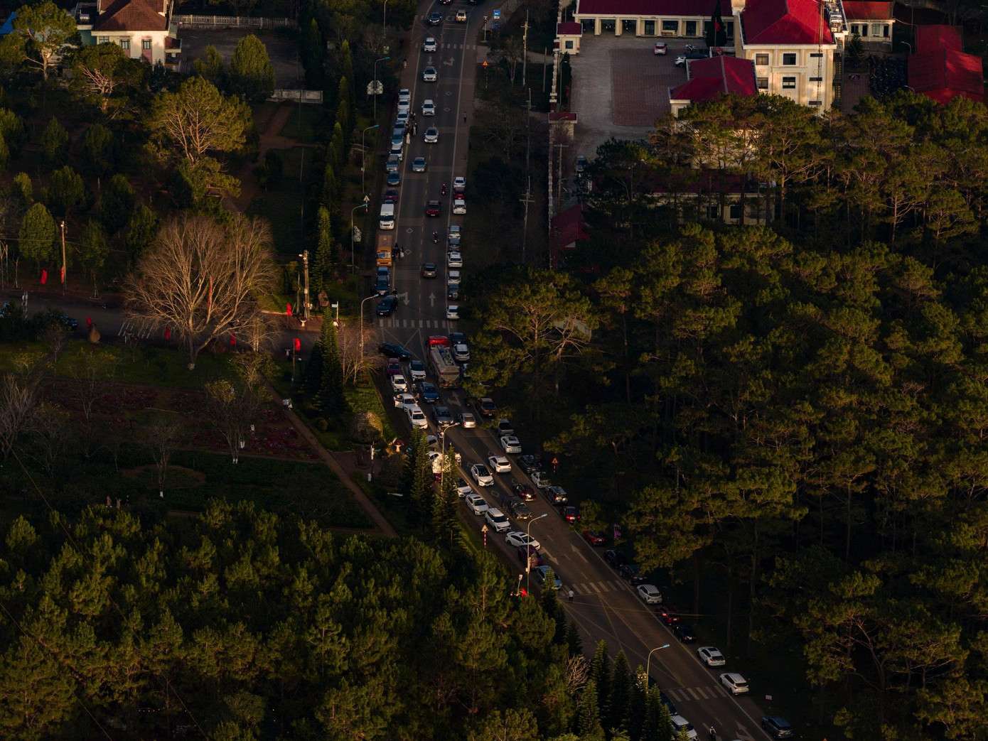 Du kh&aacute;ch nườm nượp đổ về Măng Đen ngắm hoa anh đ&agrave;o nở rộ- Ảnh 2.