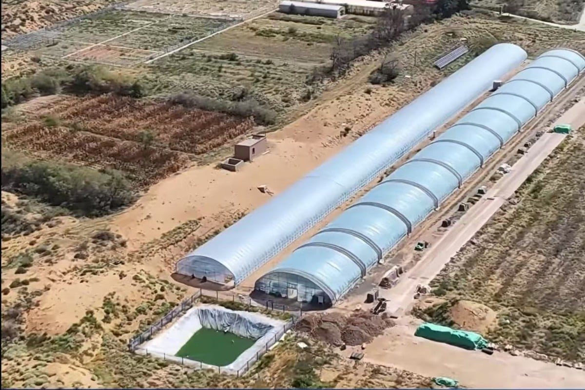 Trung Quốc x&acirc;y "Vạn L&yacute; Trường Th&agrave;nh" thời hiện đại: D&ugrave;ng sinh vật tồn tại 3,5 tỷ năm trước h&uacute;t cạn cả sa mạc- Ảnh 1.