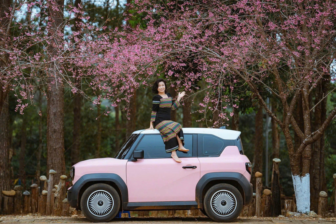 Du kh&aacute;ch nườm nượp đổ về Măng Đen ngắm hoa anh đ&agrave;o nở rộ- Ảnh 10.