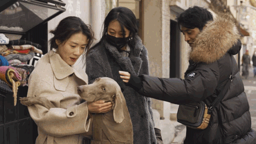 Thu&ecirc; nh&agrave; nhỏ vẫn sống như biệt thự: Mẹ đơn th&acirc;n biến ban c&ocirc;ng - s&acirc;n hẹp th&agrave;nh khu vườn xanh mướt- Ảnh 20.