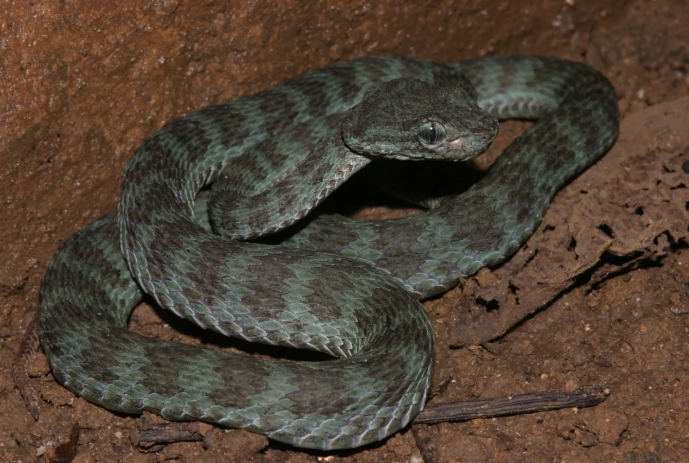 anh chup man hinh 2026 01 01 luc 220941