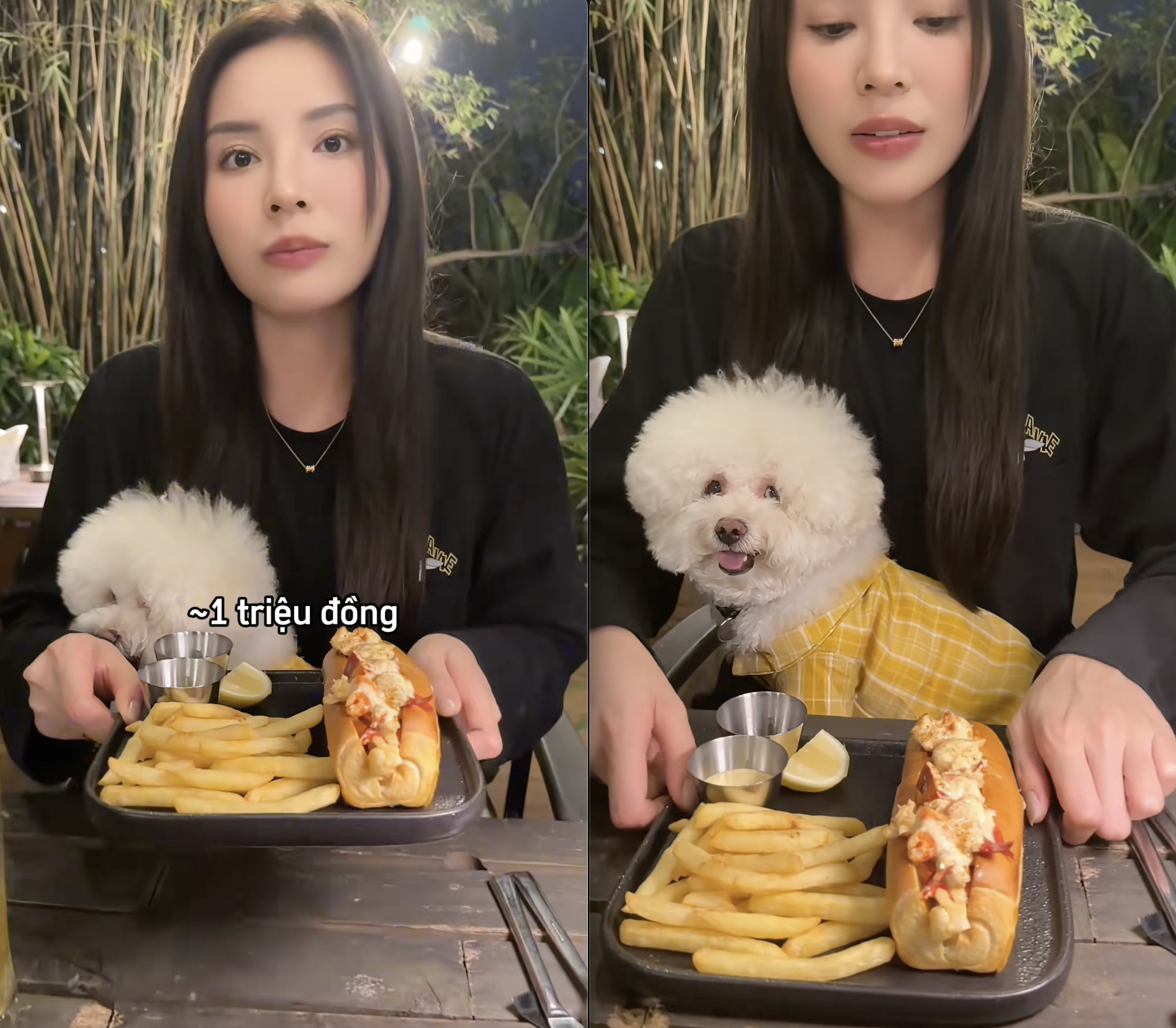 Kỳ Duy&ecirc;n review b&aacute;nh m&igrave; gi&aacute; gần 1 triệu đồng nhưng d&acirc;n mạng chỉ ch&uacute; &yacute; đến giọng của 1 người kh&aacute;c trong video- Ảnh 1.